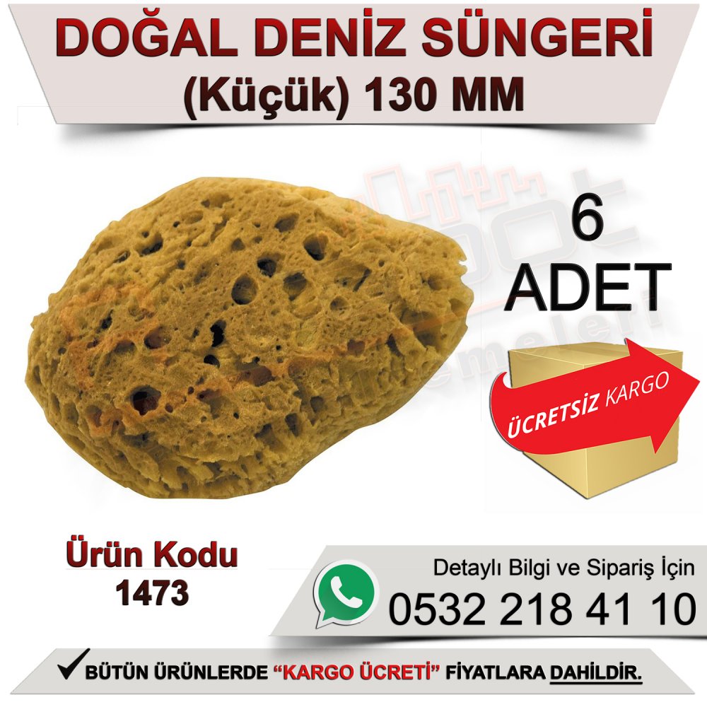 Dekor 1473 Doğal Deniz Süngeri Küçük 13 Cm (6 Adet)