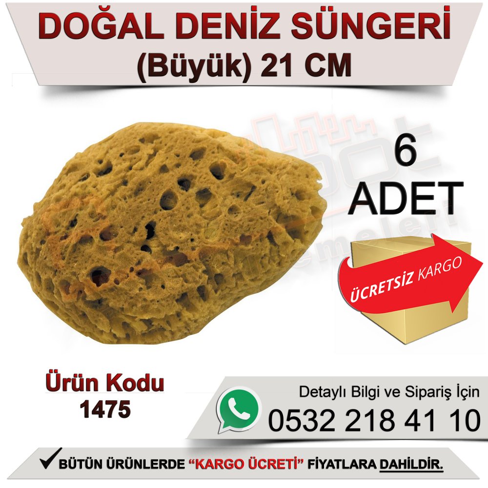 Dekor 1475 Doğal Deniz Süngeri Büyük 21 Cm (6 Adet)