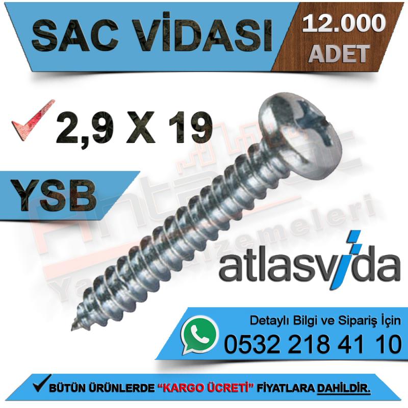 Atlas Sac Vidası Ysb 2,9X19 (12.000 Adet)